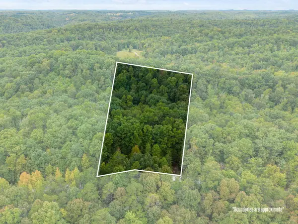 Lot 29 Angel Falls Road, Beattyville, KY 41311