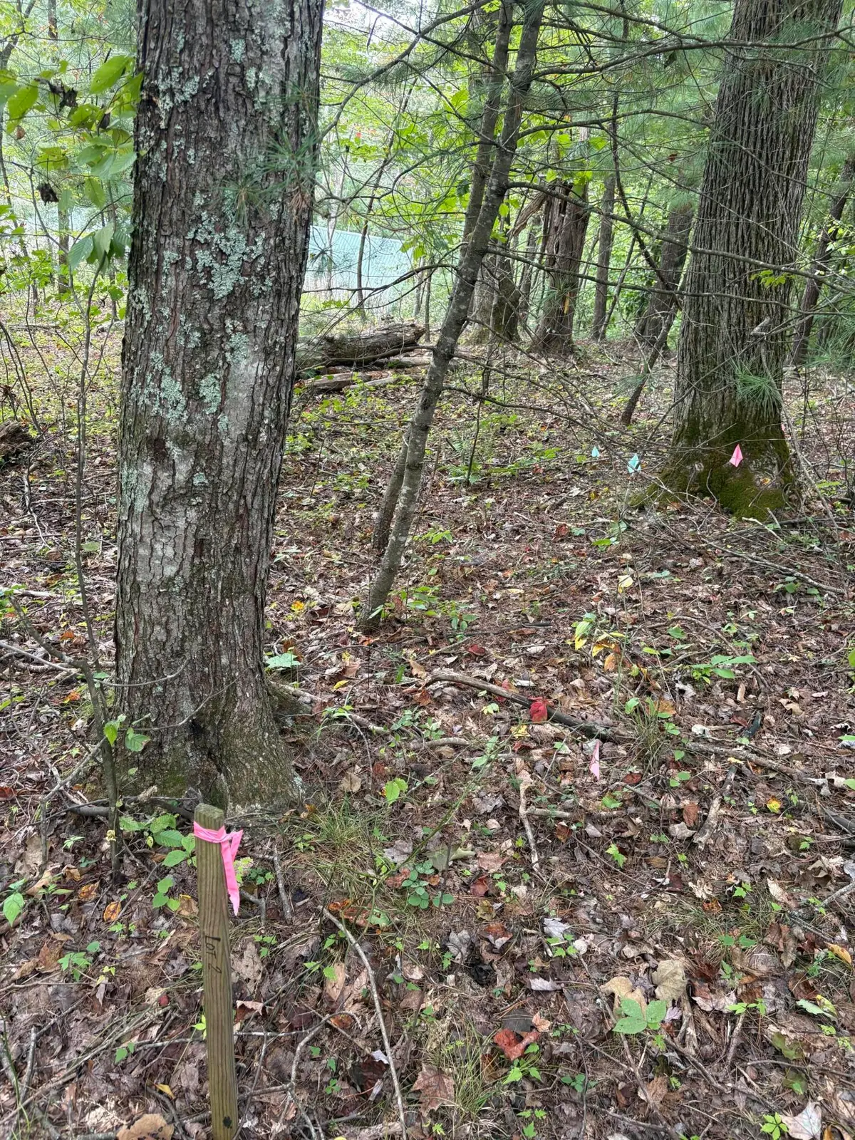 0003 Fincastle #Lot 3, Rogers, KY 41365 - #1