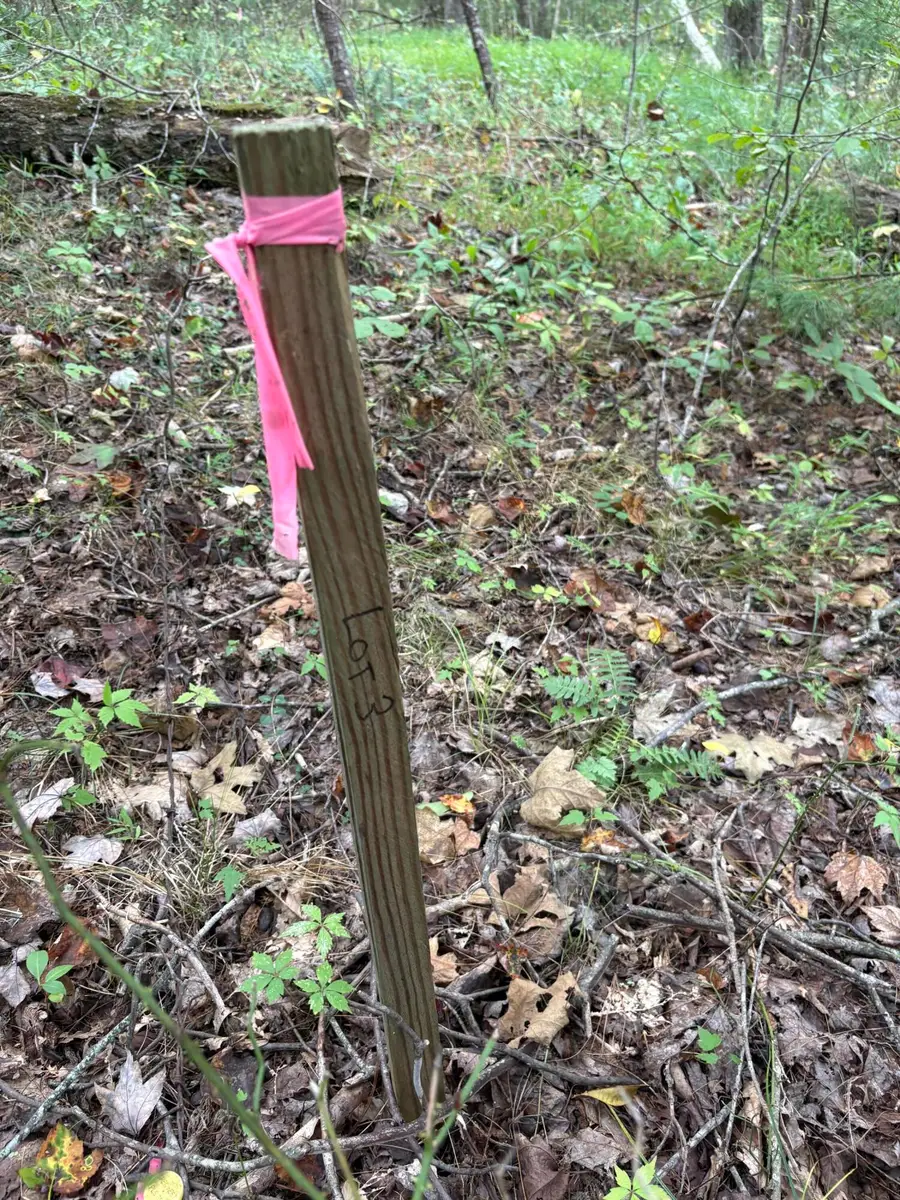 0003 Fincastle #Lot 3, Rogers, KY 41365 - #2