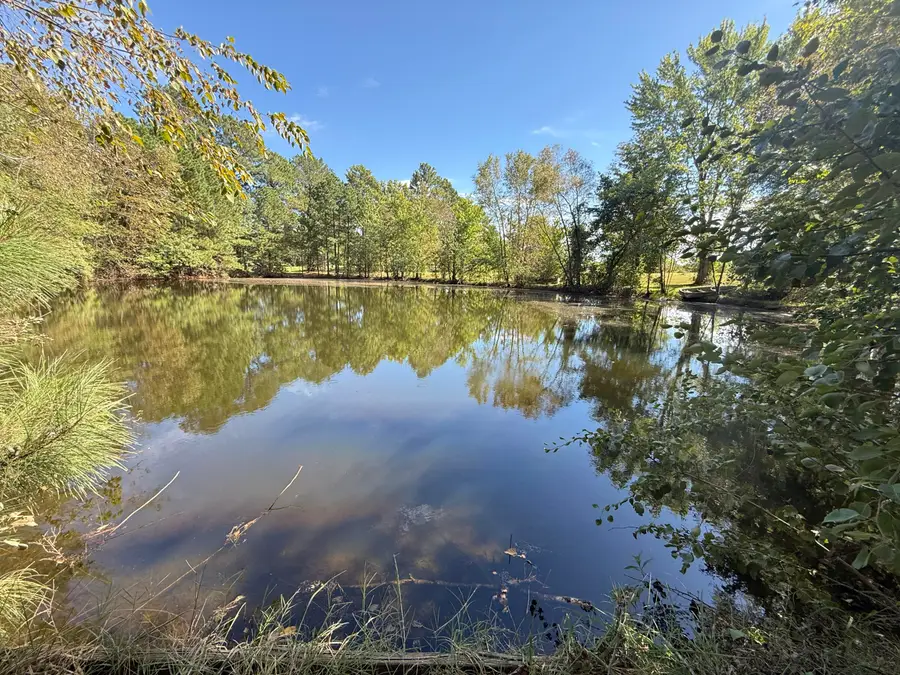 24 Morgan Drive, Murray, KY 42071 - #3