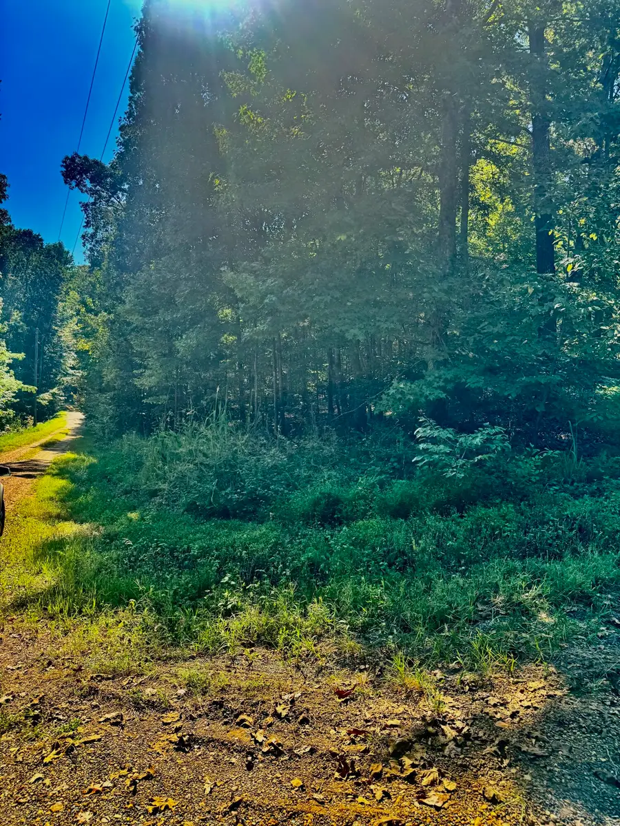 Lot 123 Channel Drive, Murray, KY 42071 - #2