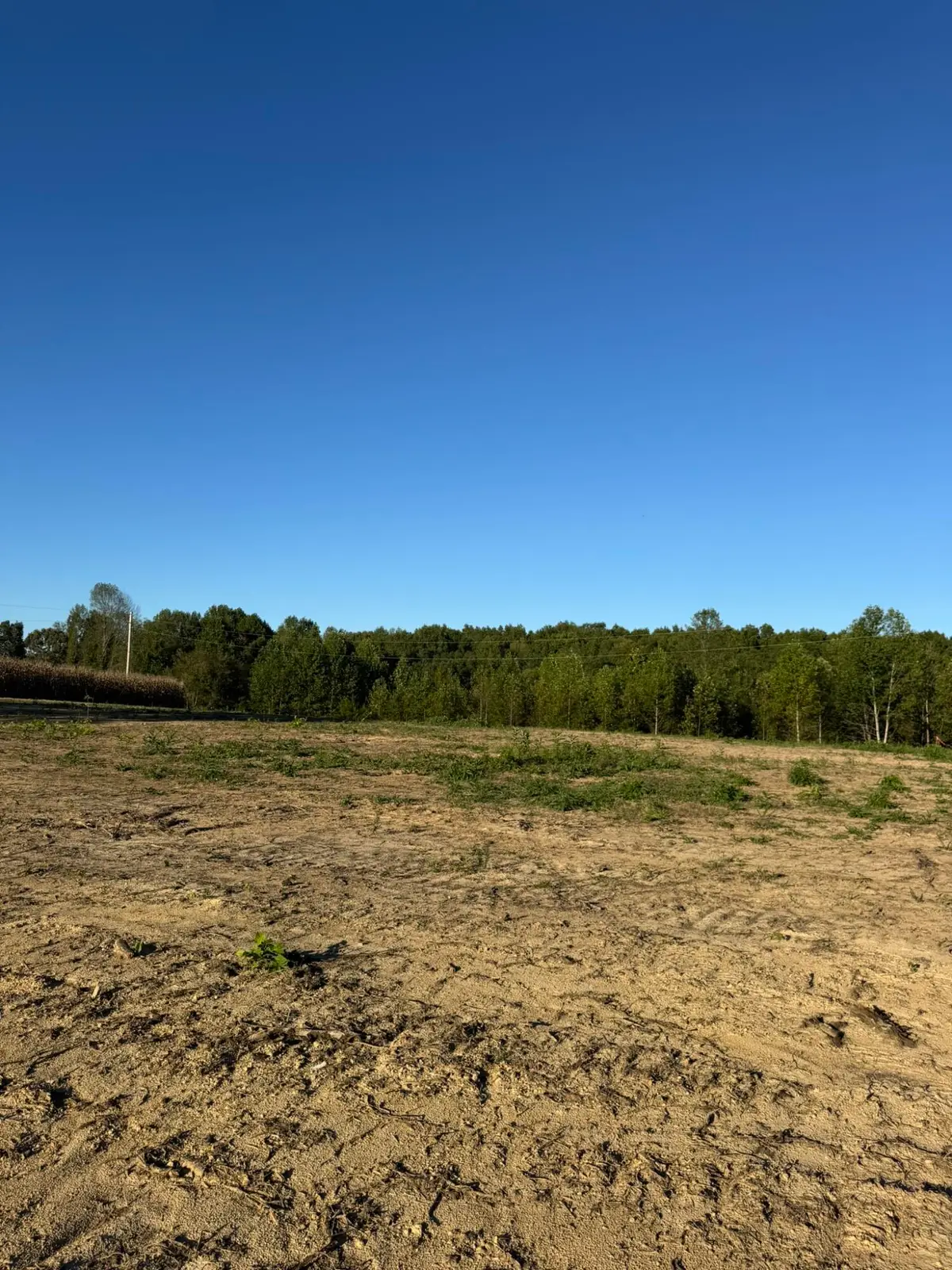 0001 Decatur Road, Russell Springs, KY 42642 - #1