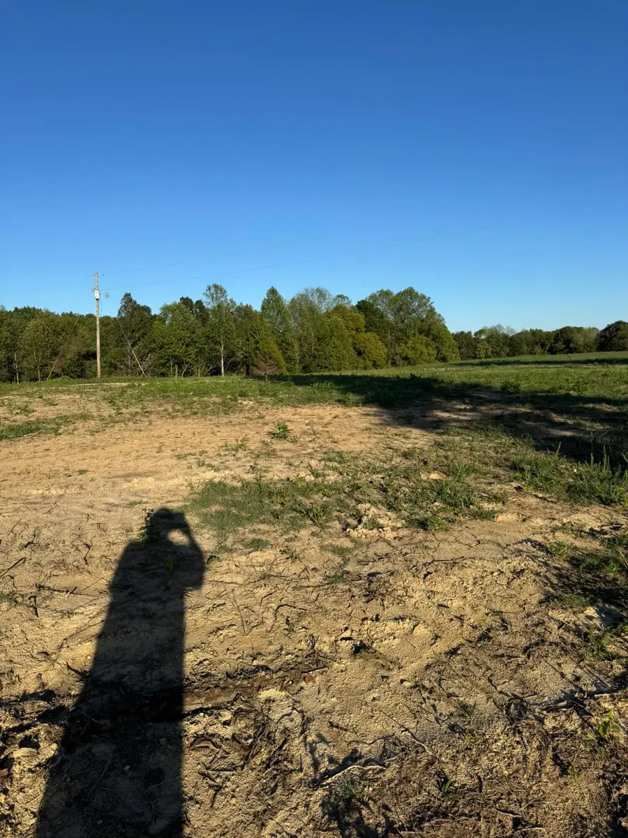 0001 Decatur Road, Russell Springs, KY 42642 - #2