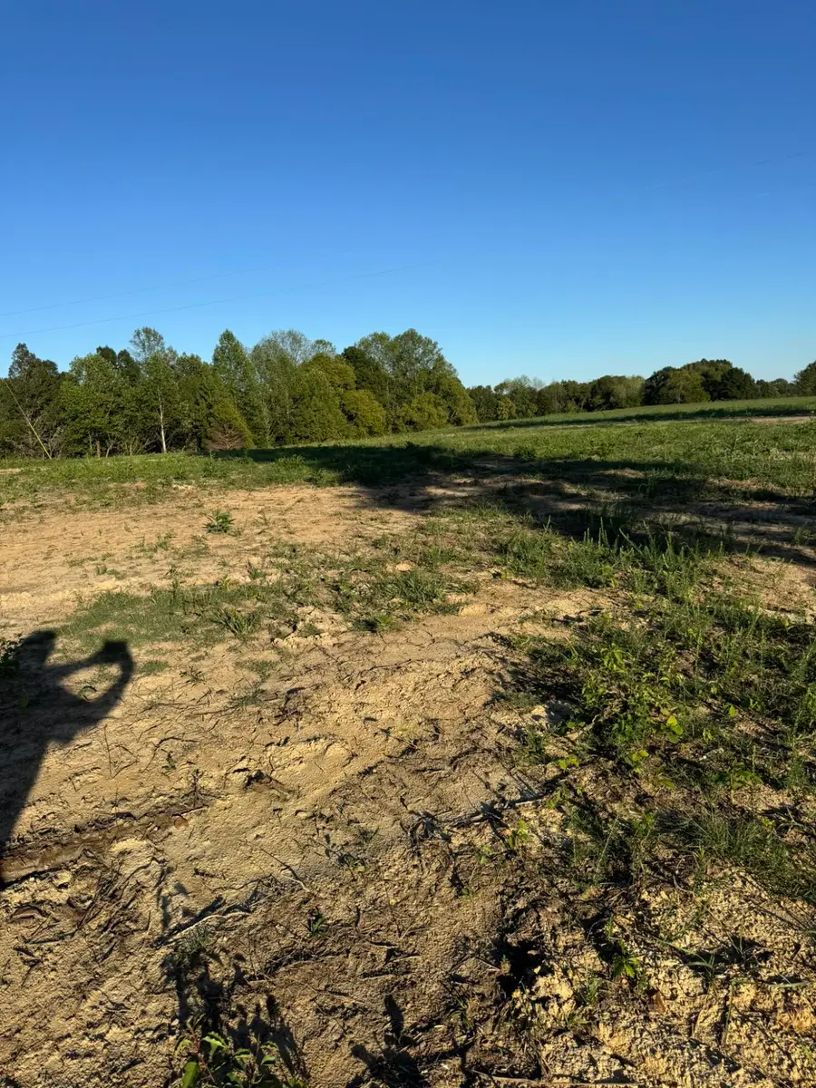 0001 Decatur Road, Russell Springs, KY 42642 - #3