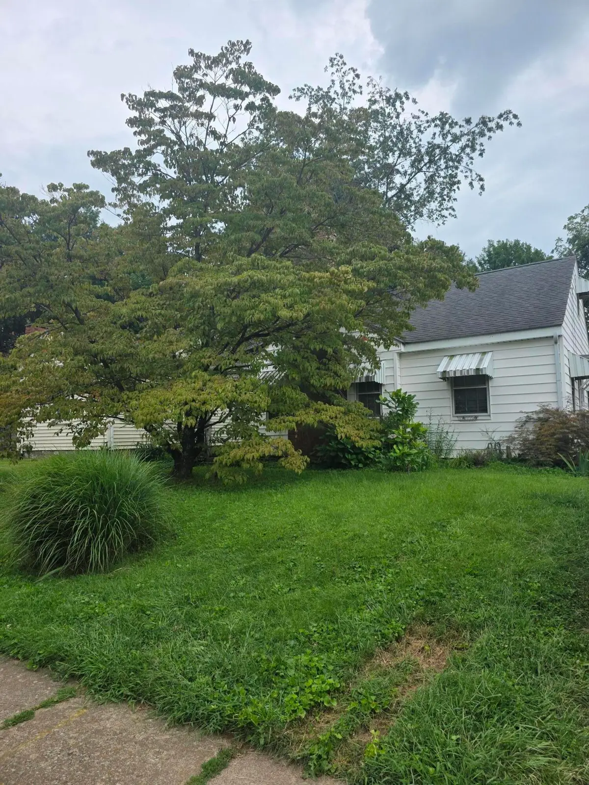 528 Henry Clay Boulevard, Lexington, KY 40505 - #1