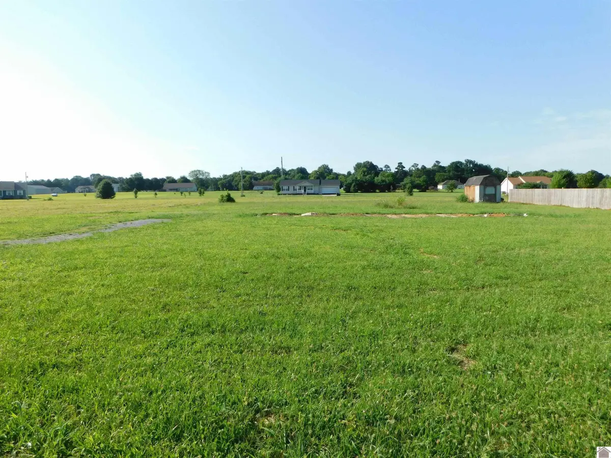 1362 W Us Highway 60 W Lot 8, Ledbetter, KY 42058 - #1