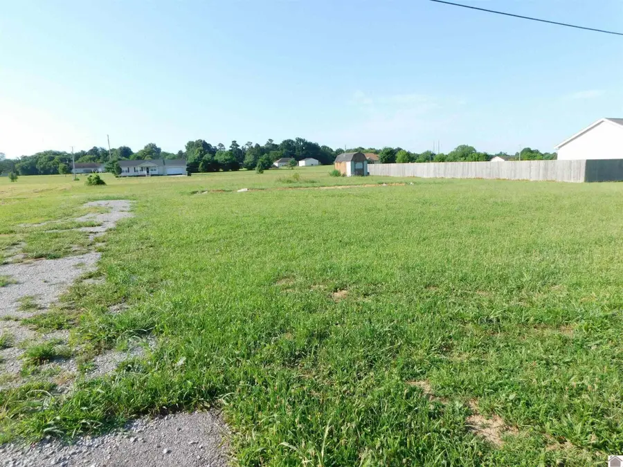 1362 W Us Highway 60 W Lot 8, Ledbetter, KY 42058 - #3
