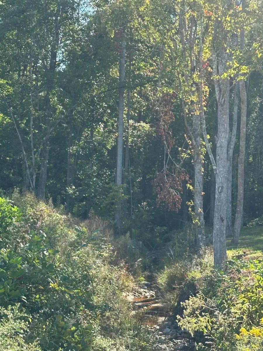 405 Hollywood Drive #Lot 66, Corbin, KY 40701 - #2