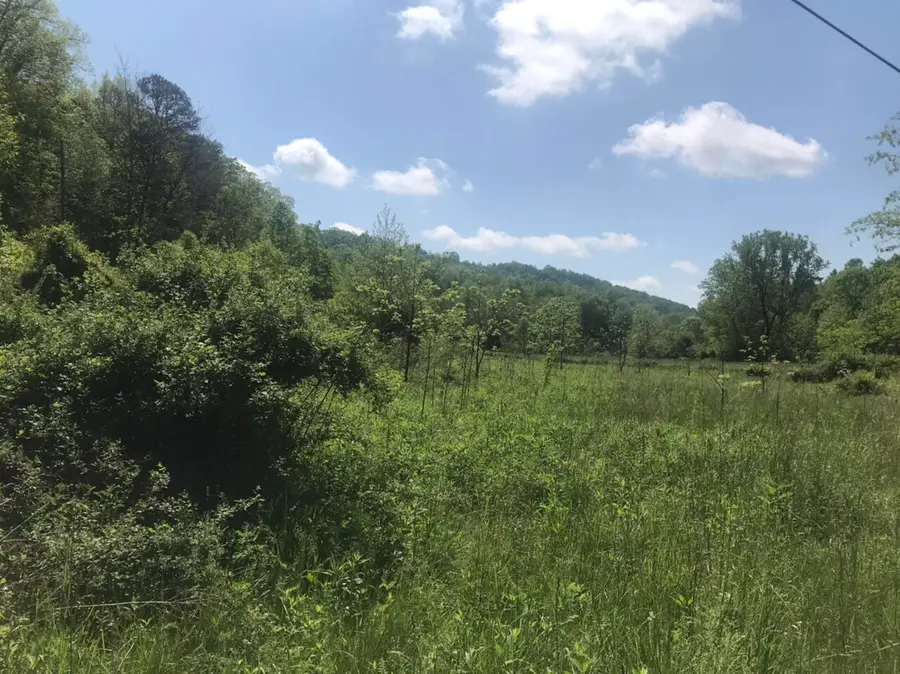 TBD  Aden Road, Olive Hill, KY 41164 - #3