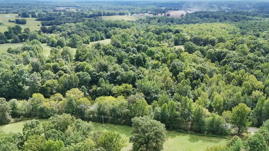 999 Wickliffe Road, Wickliffe, KY 42087 - #3
