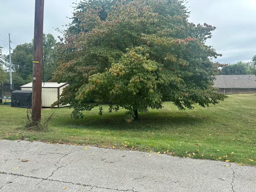 Lot 2 Sallee Street, Somerset, KY 42501 - #3
