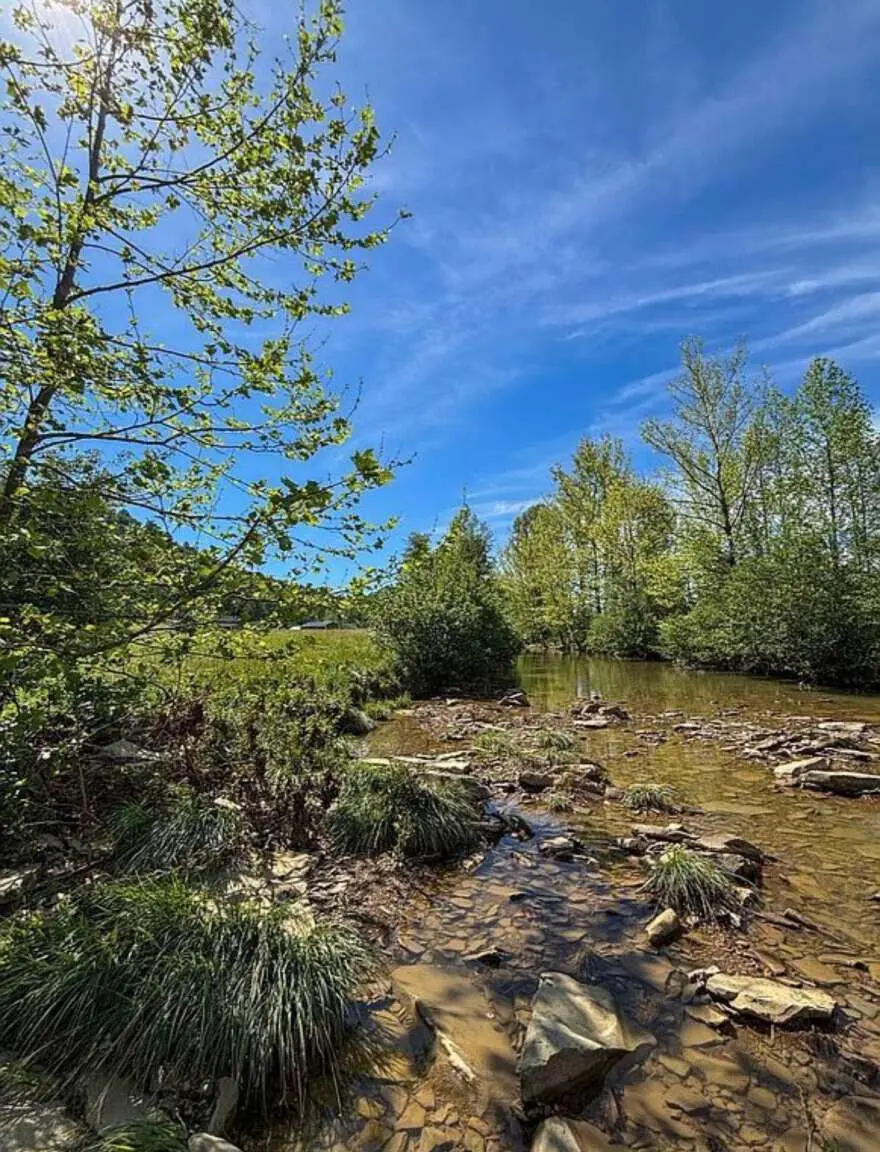 970 Clearfork Road, Morehead, KY 40351 - #3