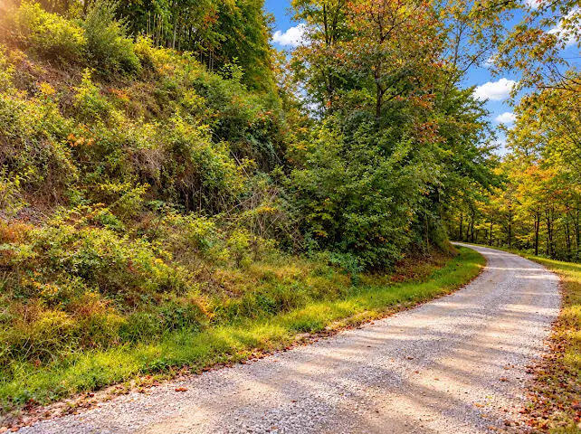 0000 Big Wildcat Road, Manchester, KY 40962 - #2