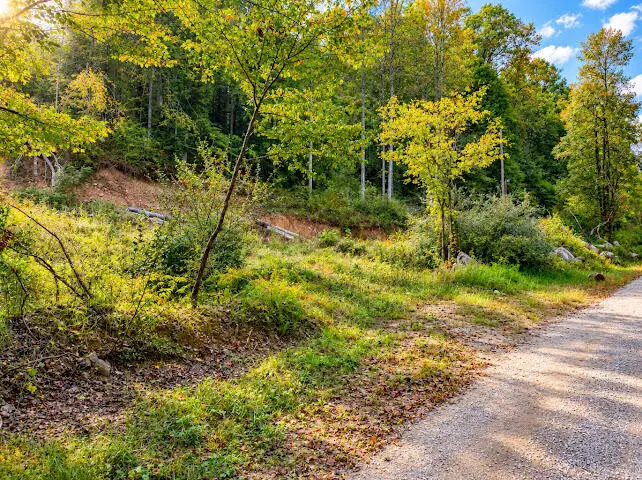 0000 Big Wildcat Road, Manchester, KY 40962 - #3