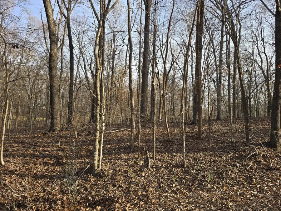 Lot 33 C -1 Rockcastle Shores, Cadiz, KY 42211 - #3