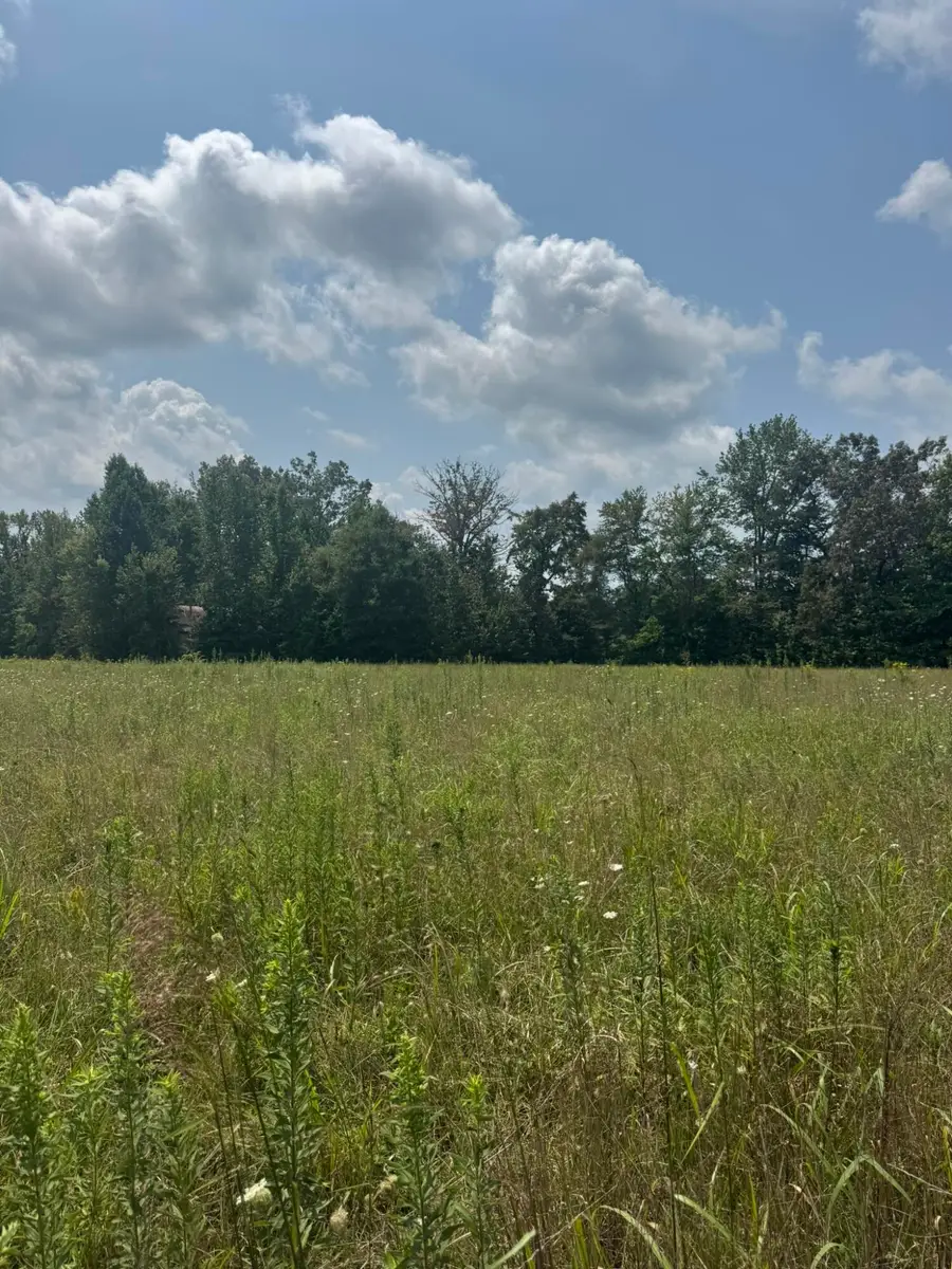 0000 Hwy 704, Burkesville, KY 42717 - #2