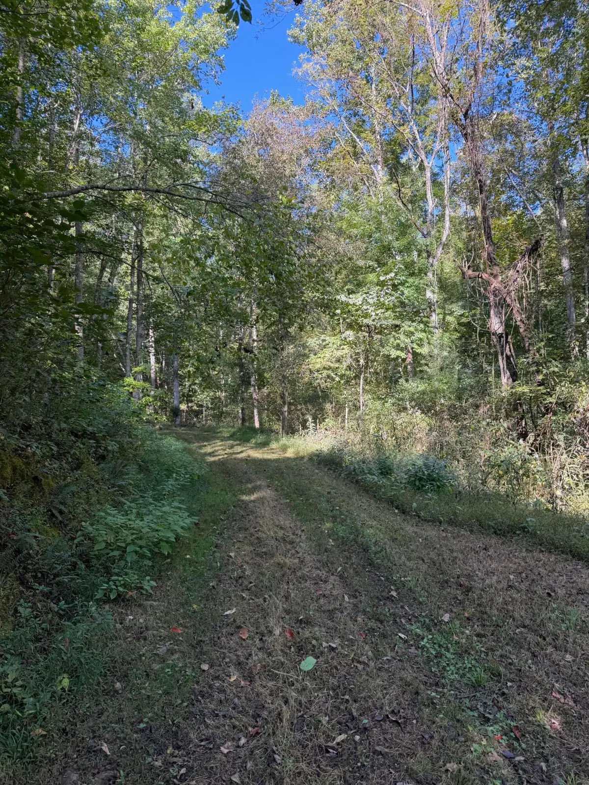 0 Theo Proffitt Road, Manchester, KY 40962 - #1