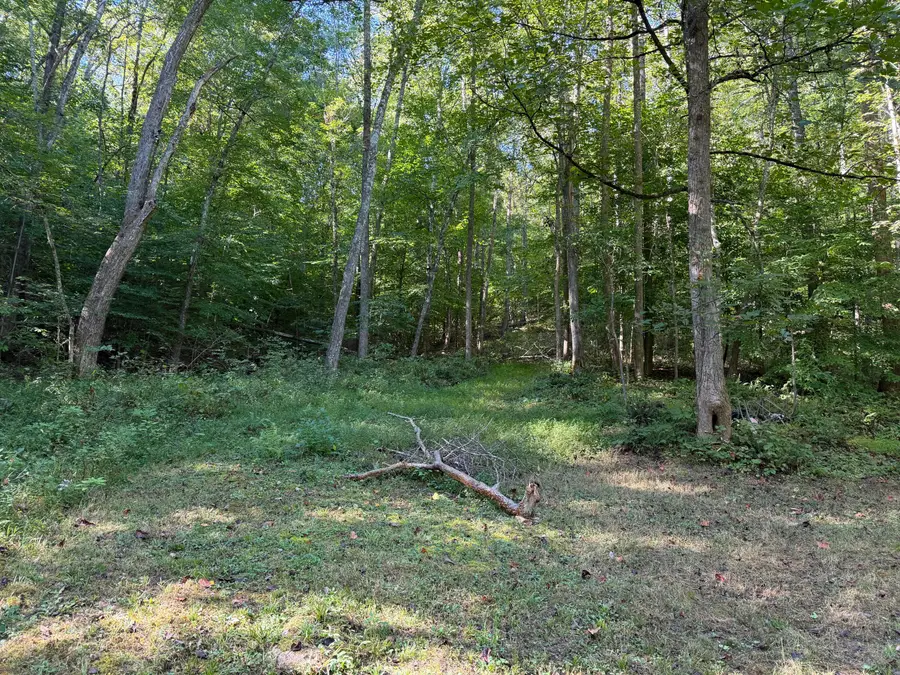 0 Theo Proffitt Road, Manchester, KY 40962 - #3