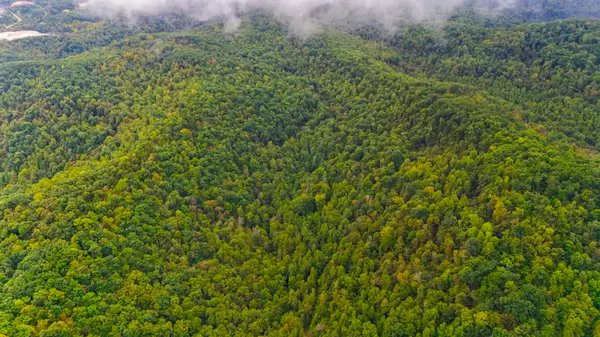 9999 Martin Hollow Road, Stanton, KY 40380