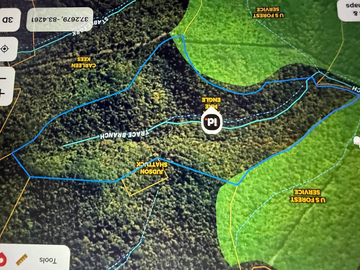 98.54 Acres M/1 Elkhorn Trace Branch, Hyden, KY 41749 - #1