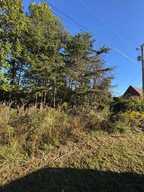 0 Turkey Ridge Road #Lot 38, Wellington, KY 40387