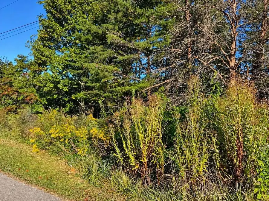 0 Turkey Ridge Road #Lot 38, Wellington, KY 40387 - #2