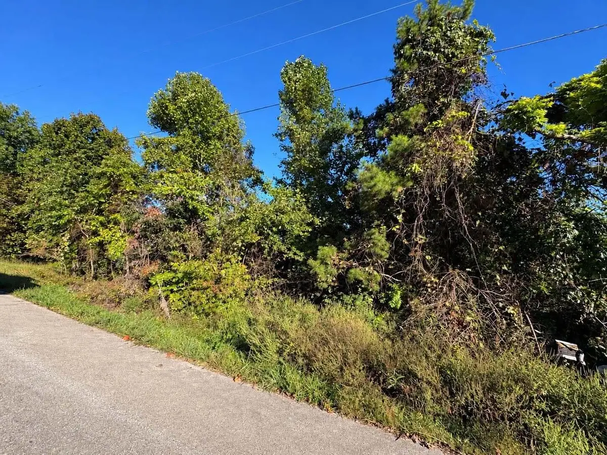0 Turkey Ridge Road #Lot 40, Wellington, KY 40387 - #1