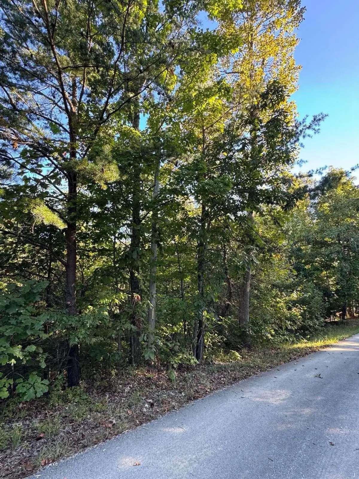0 Turkey Ridge Road #Lot 51, Wellington, KY 40387 - #1