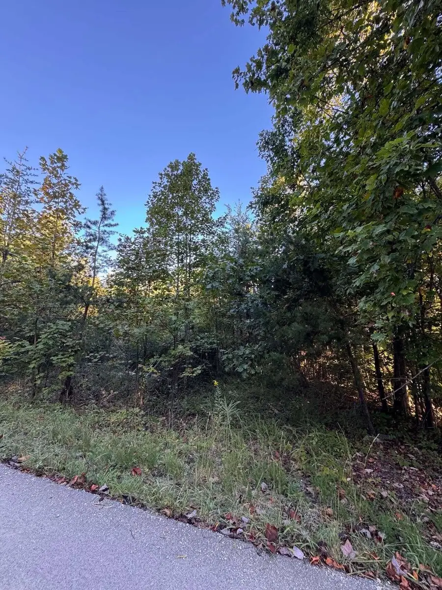 0 Turkey Ridge Road #Lot 51, Wellington, KY 40387 - #2