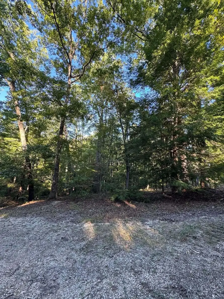 0 Turkey Ridge Road #Lot 49, Wellington, KY 40387 - #2
