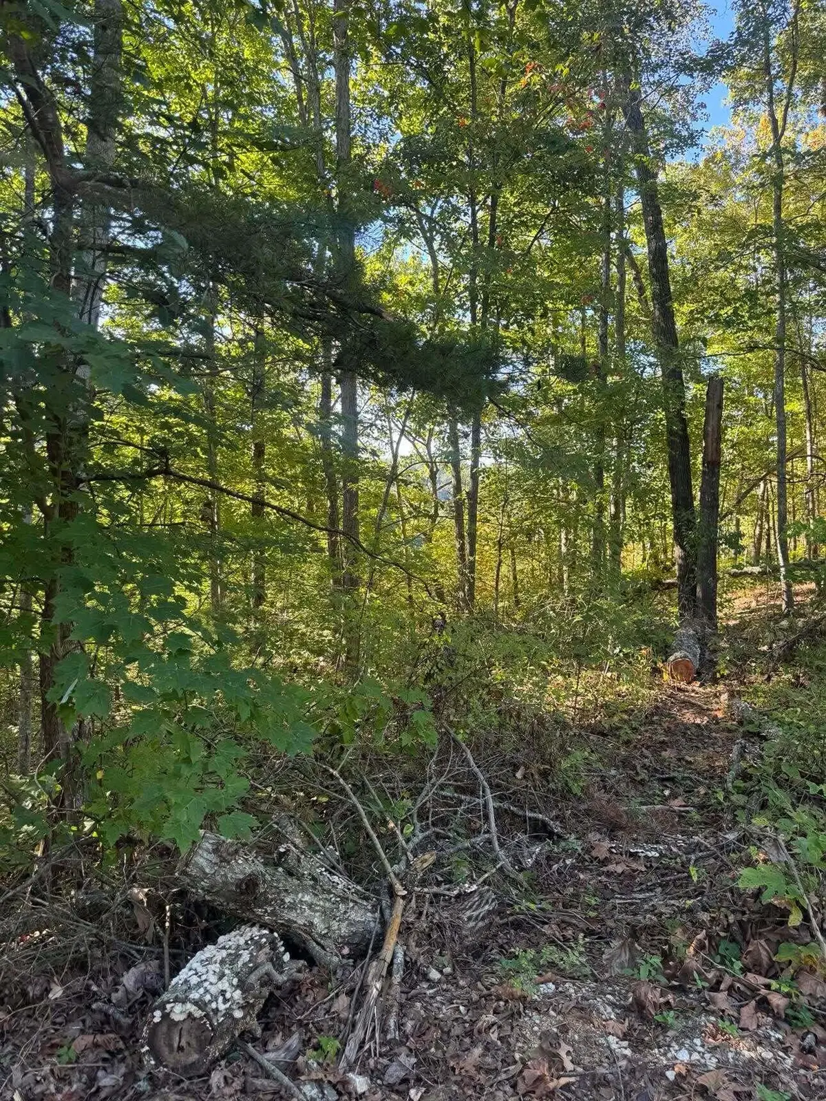0 Ivy Lane #Lot 80, Wellington, KY 40387 - #1