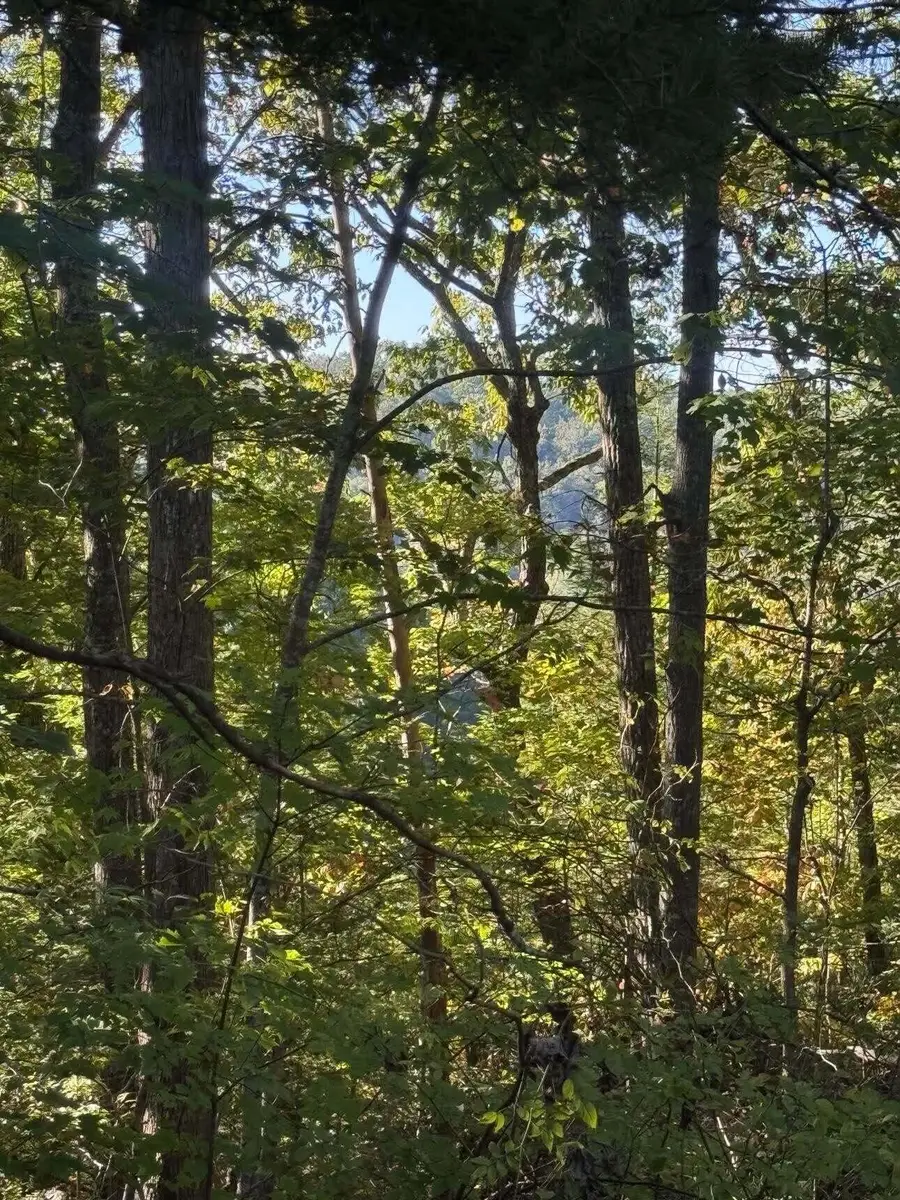 0 Ivy Lane #Lot 80, Wellington, KY 40387 - #2