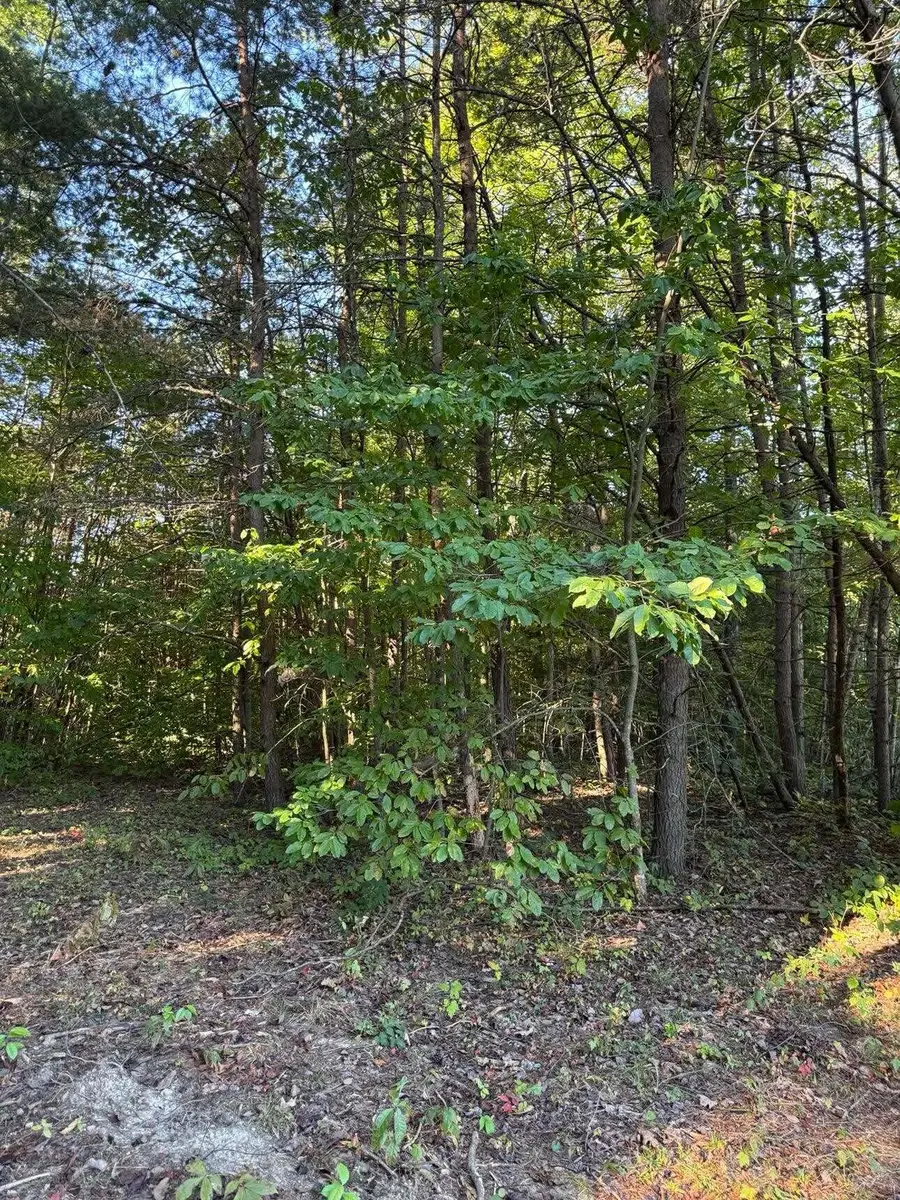 0 Jordan Court #Lot 7-10, 13-17, Wellington, KY 40387 - #2