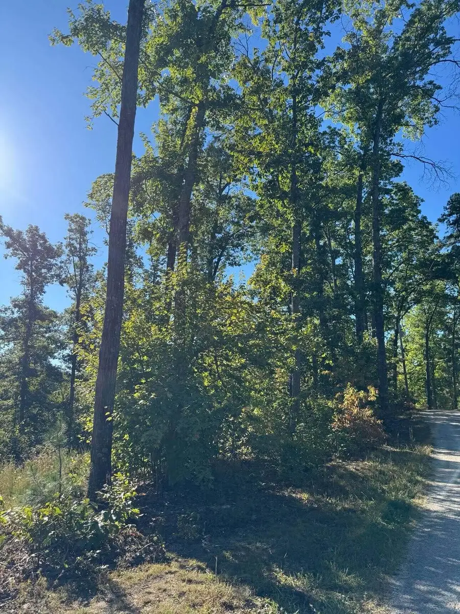 0 Ryan Road #Lots 4-6, Wellington, KY 40387 - #2