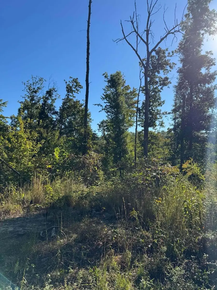 0 Ryan Road #Lots 4-6, Wellington, KY 40387 - #3