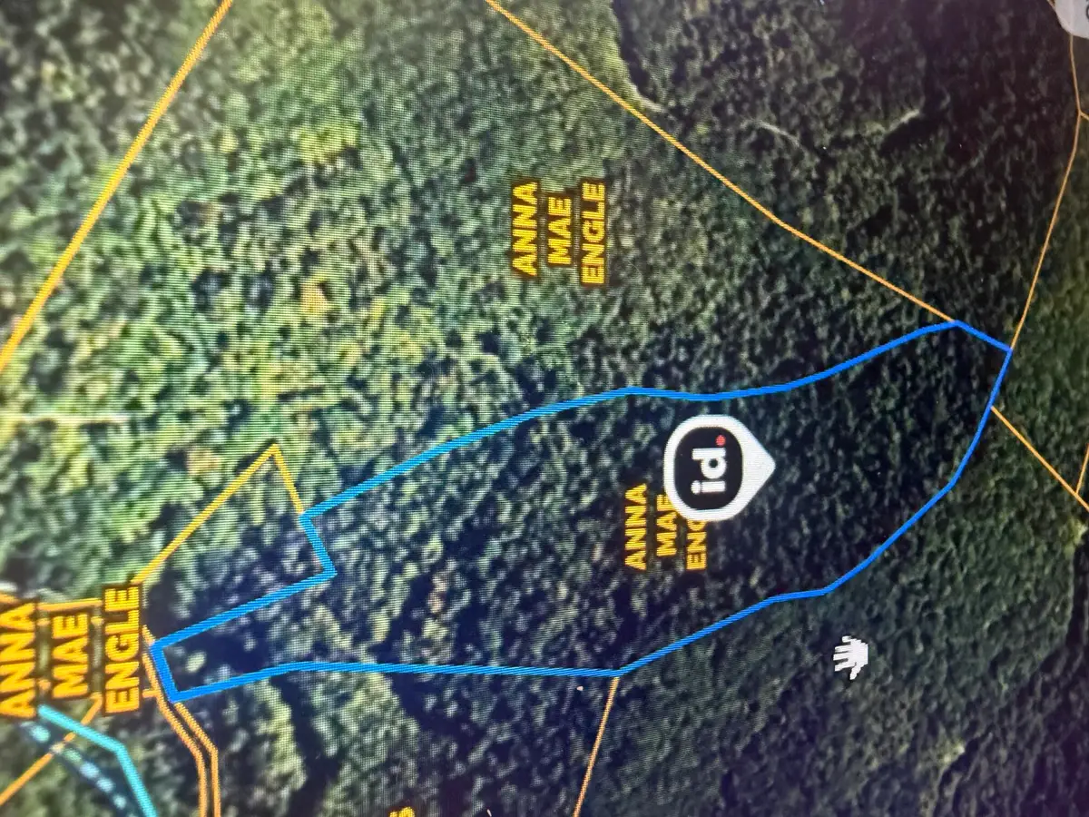 72.87 Acres/ 24 Acres Peter Branch Of Wolf Creek, Hyden, KY 41749 - #1