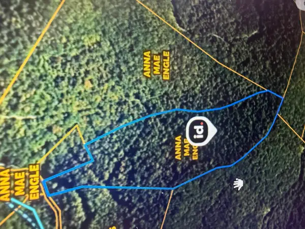 72.87 Acres/ 24 Acres Peter Branch Of Wolf Creek, Hyden, KY 41749
