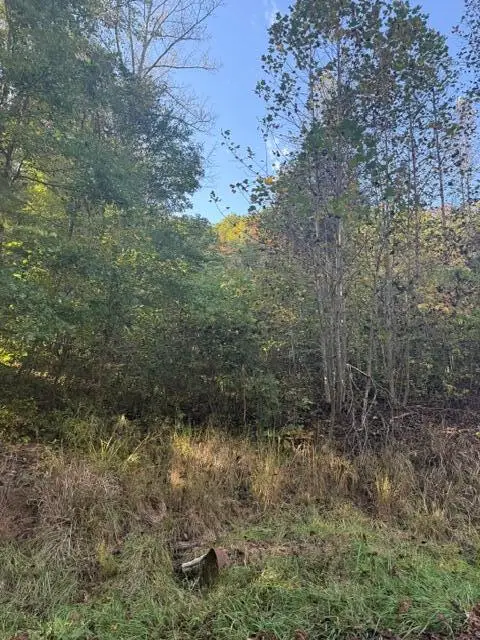 0000 Co Rd 2027, Campton, KY 41301 - #1