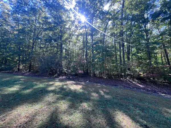 29 Brush Mountain Circle, Miracle, KY 40856