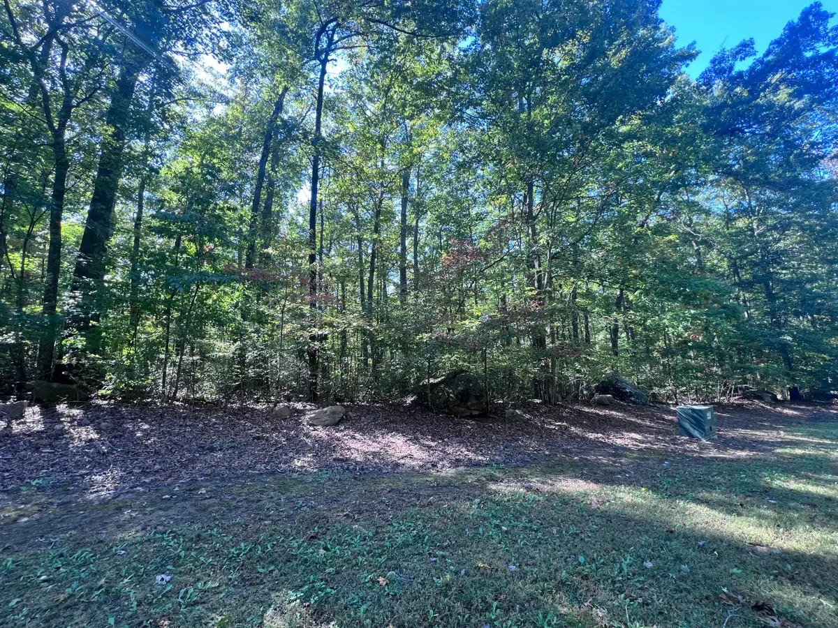 28 Brush Mountain Circle, Miracle, KY 40856 - #1
