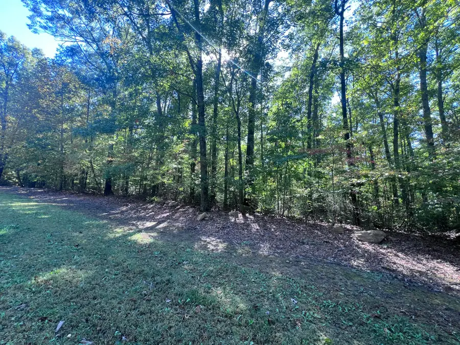 28 Brush Mountain Circle, Miracle, KY 40856 - #2