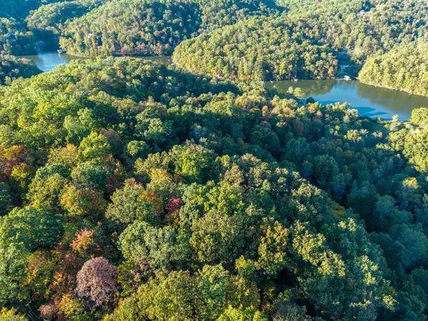 Lot 45-47 Left Fork Fishermans Cove Road, London, KY 40741