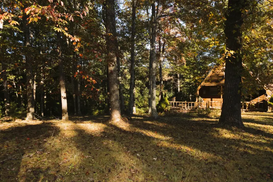 126 Lark Lane, Frenchburg, KY 40322 - #3