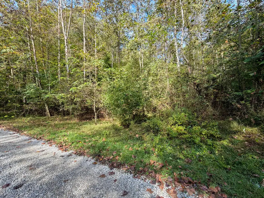 0 Buzzard Creek Road, Manchester, KY 40962 - #3