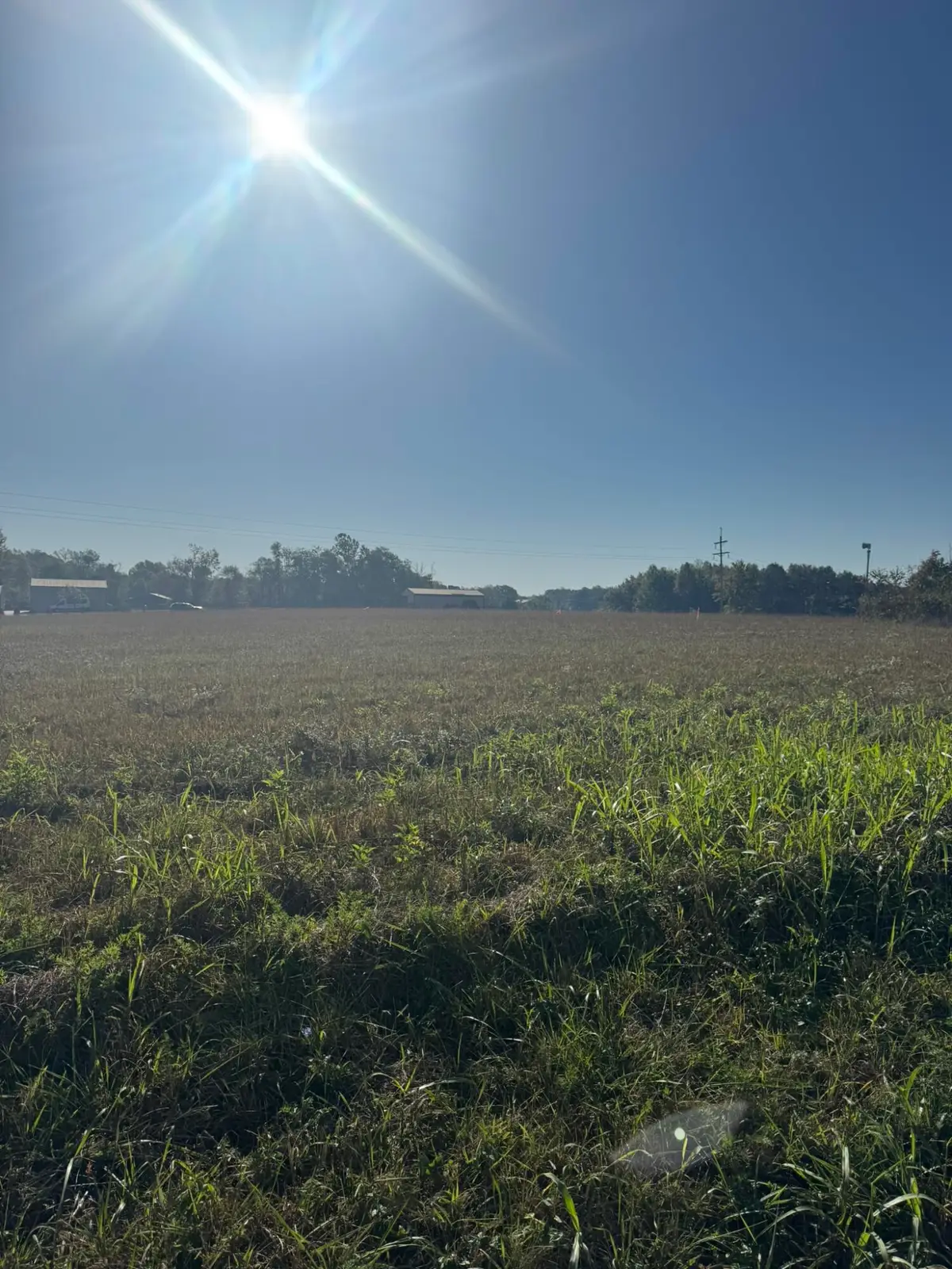 436 Reese Road, Russell Springs, KY 42642 - #1