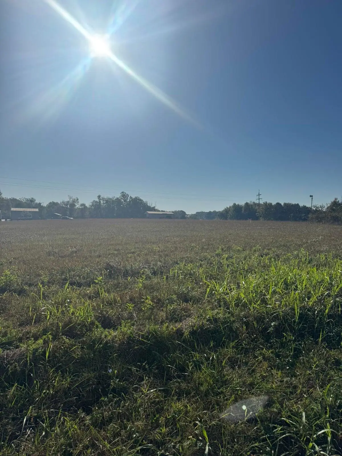 462 Reese Road, Russell Springs, KY 42642 - #1