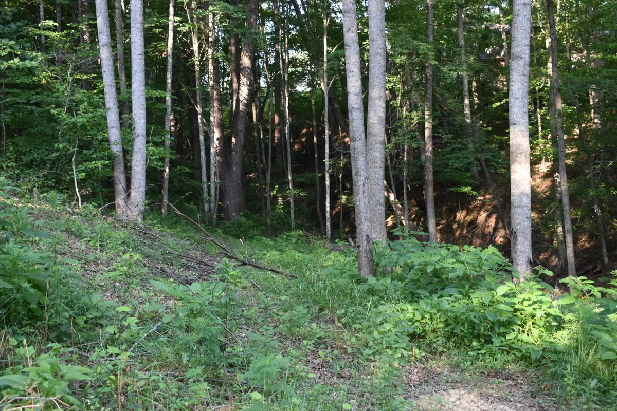 60 Lakewood Drive, Morehead, KY 40351 - #1