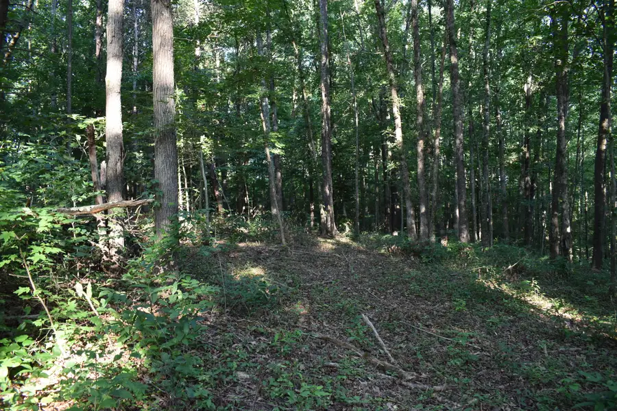 60 Lakewood Drive, Morehead, KY 40351 - #2