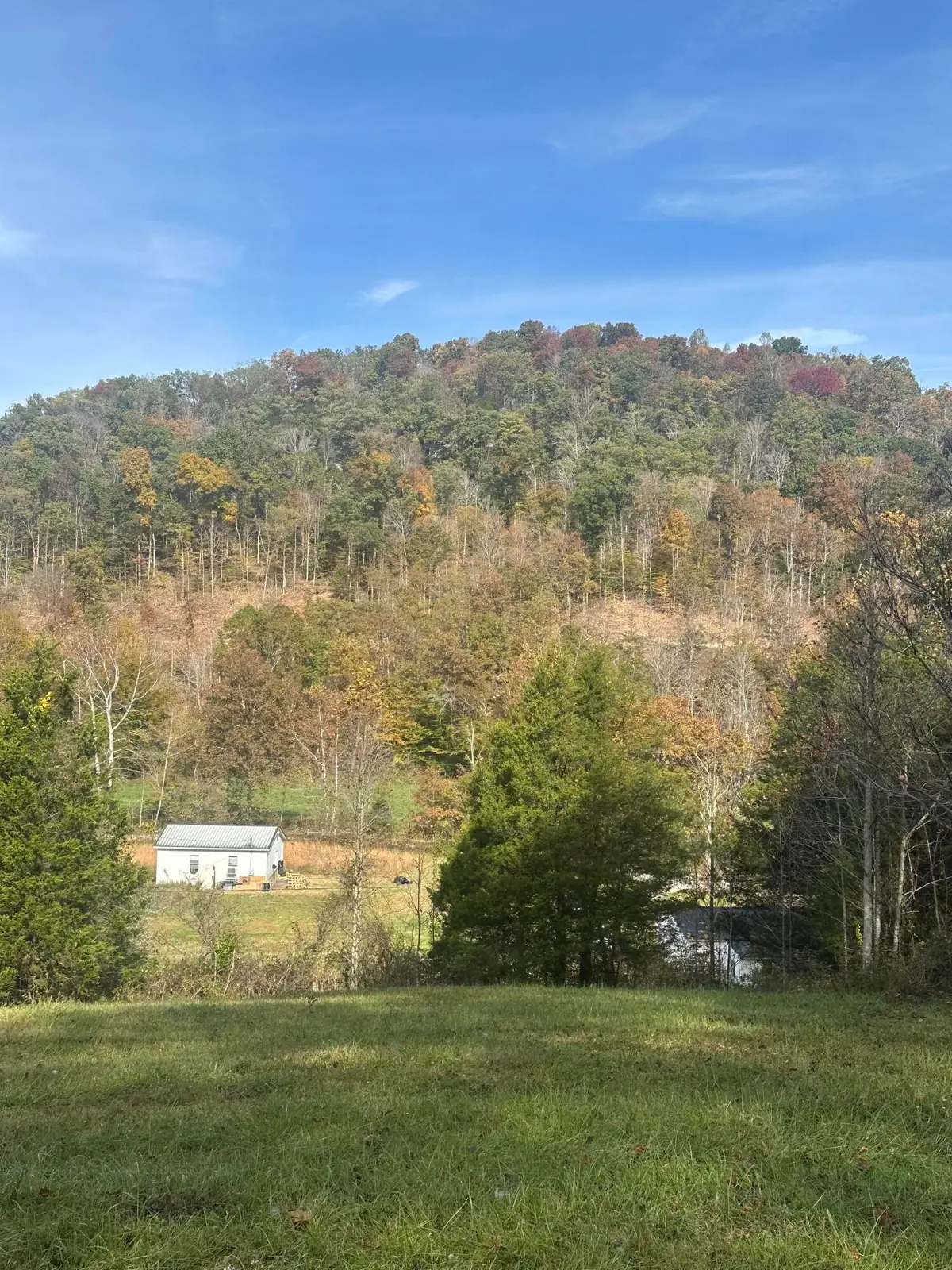 95 Sallies Garden Lane, Mount Vernon, KY 40456 - #1