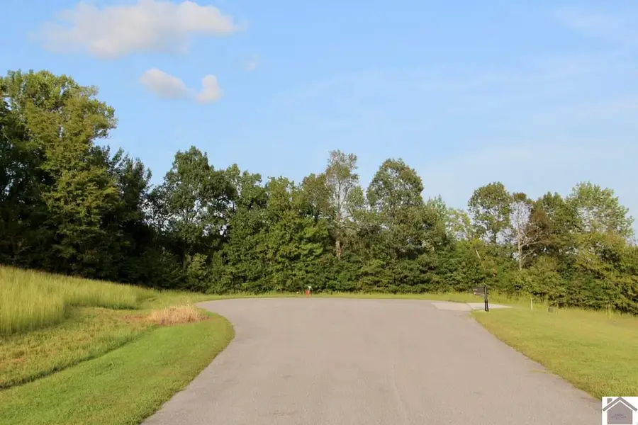 Lot #80 Kelsey Jo Lane, Eddyville, KY 42038 - #3